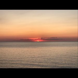 Meet your Posher, Peter